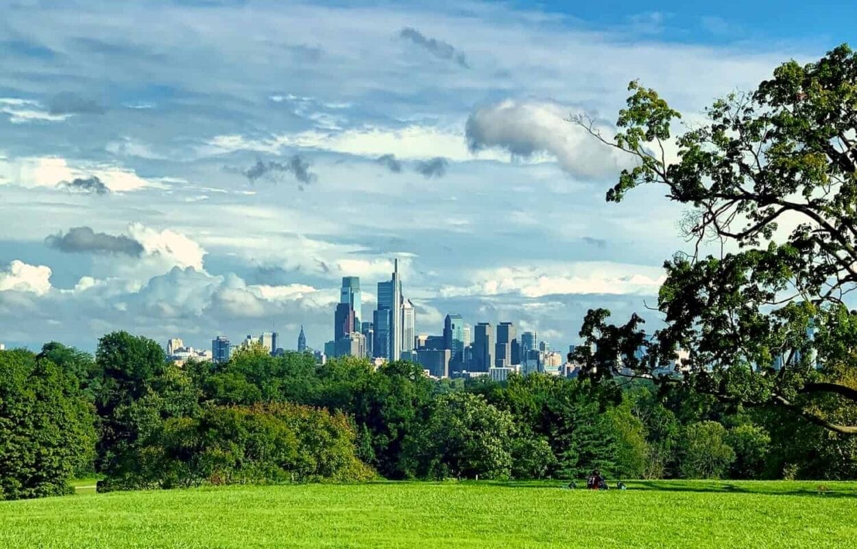 view of city skyline from grassy hill