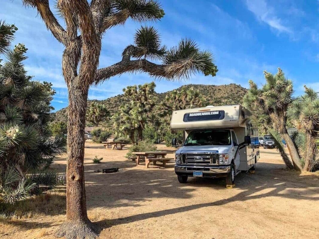 RV trailer parked in desert with joshua tree plants in Black Rock campground