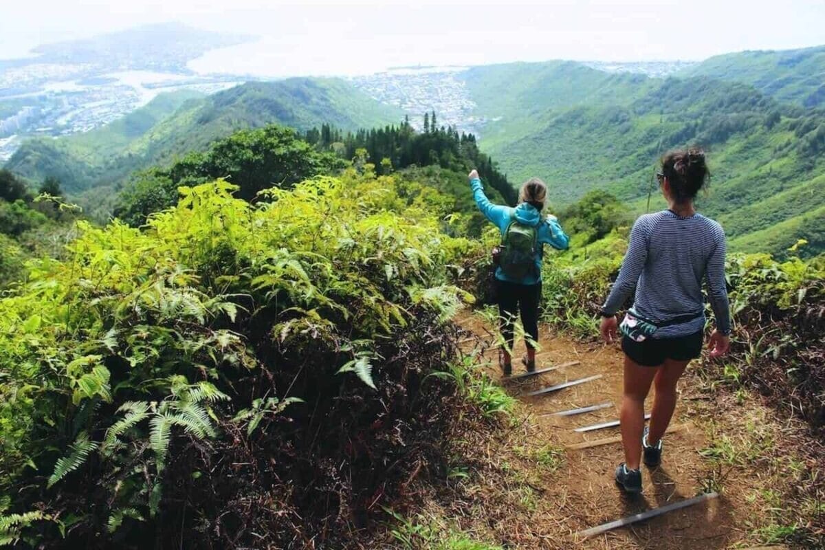 two women walking down hiking trail steps in the rain forest with a view of the city