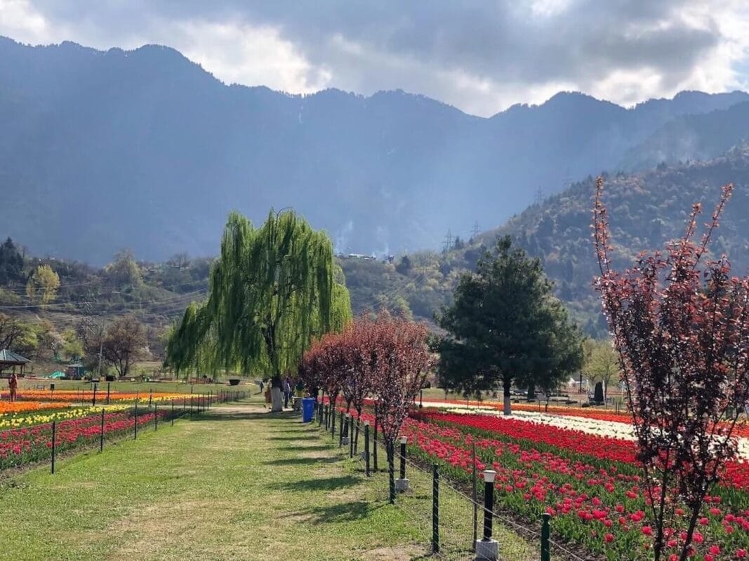 Indira Gandhi Memorial tulip garden