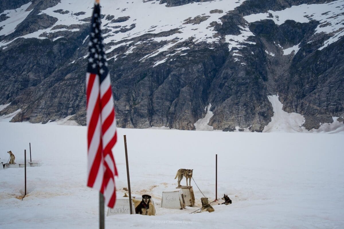 huskie dogs, mountains, snow, american flag