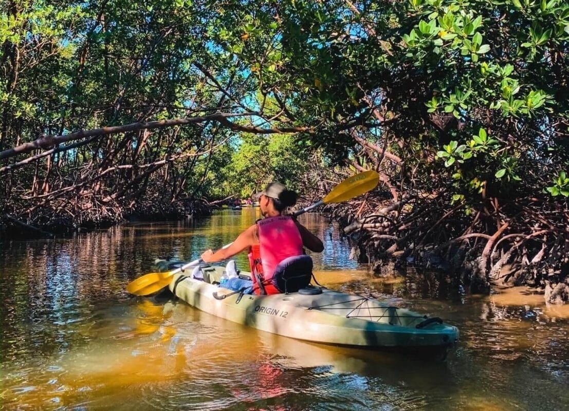 Female outdoor traveler kayaking in mangroves