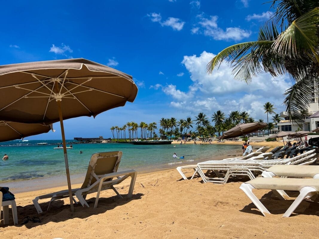 beach chairs, umbrella, and clear sky with palm trees