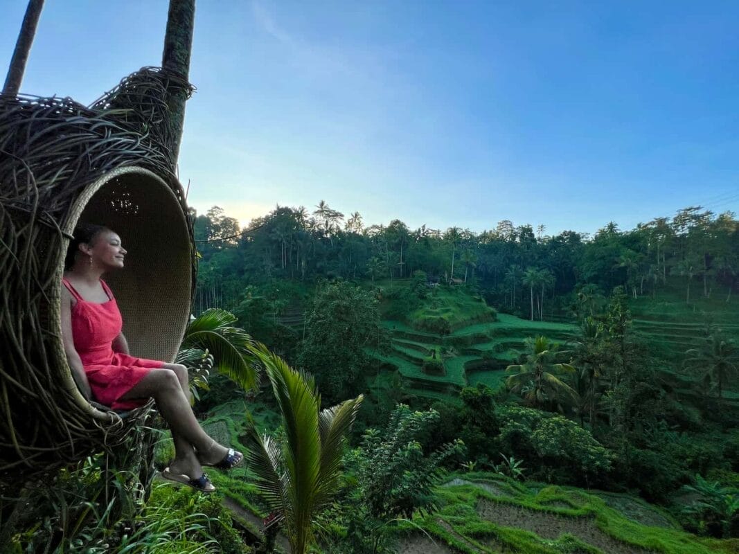 woman sitting in a nest swing overlook with view of rice paddies