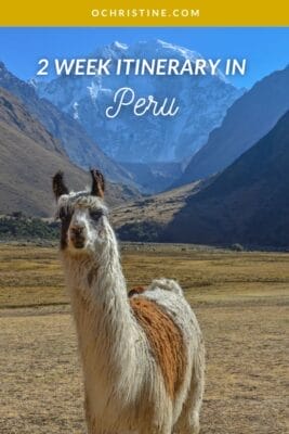 Peruvian Camel Mountain
