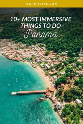 aerial view of Panama coast and jungle forest