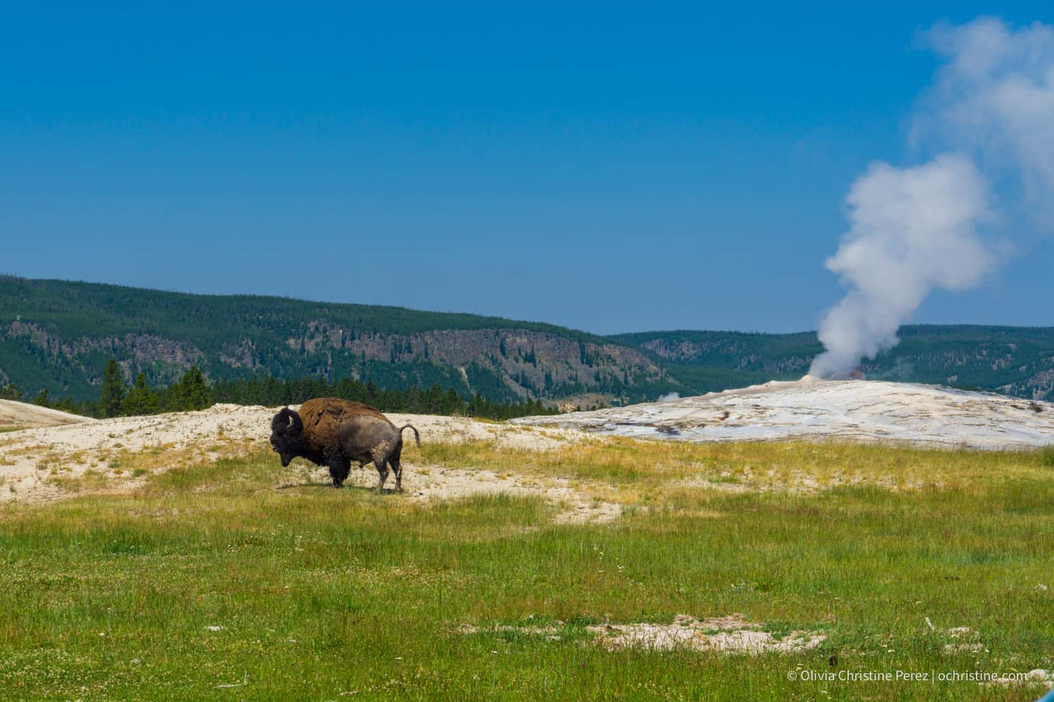 3 Day Yellowstone Itinerary for an Epic National Park Adventure
