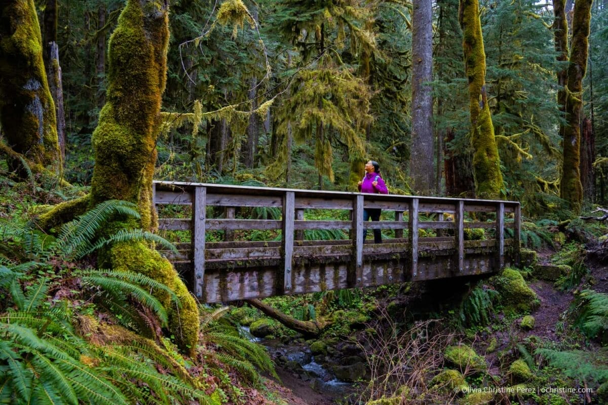 Cross the pedestrian bridge in the forest